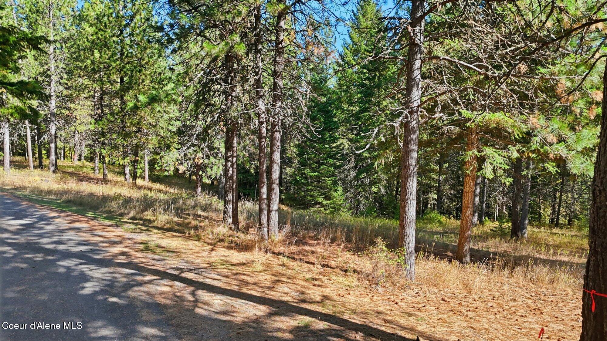 Nka West Barrett Drive Rathdrum, ID 83858 - Photo 7 of 19 20-DJI_20251016121147_0758_D