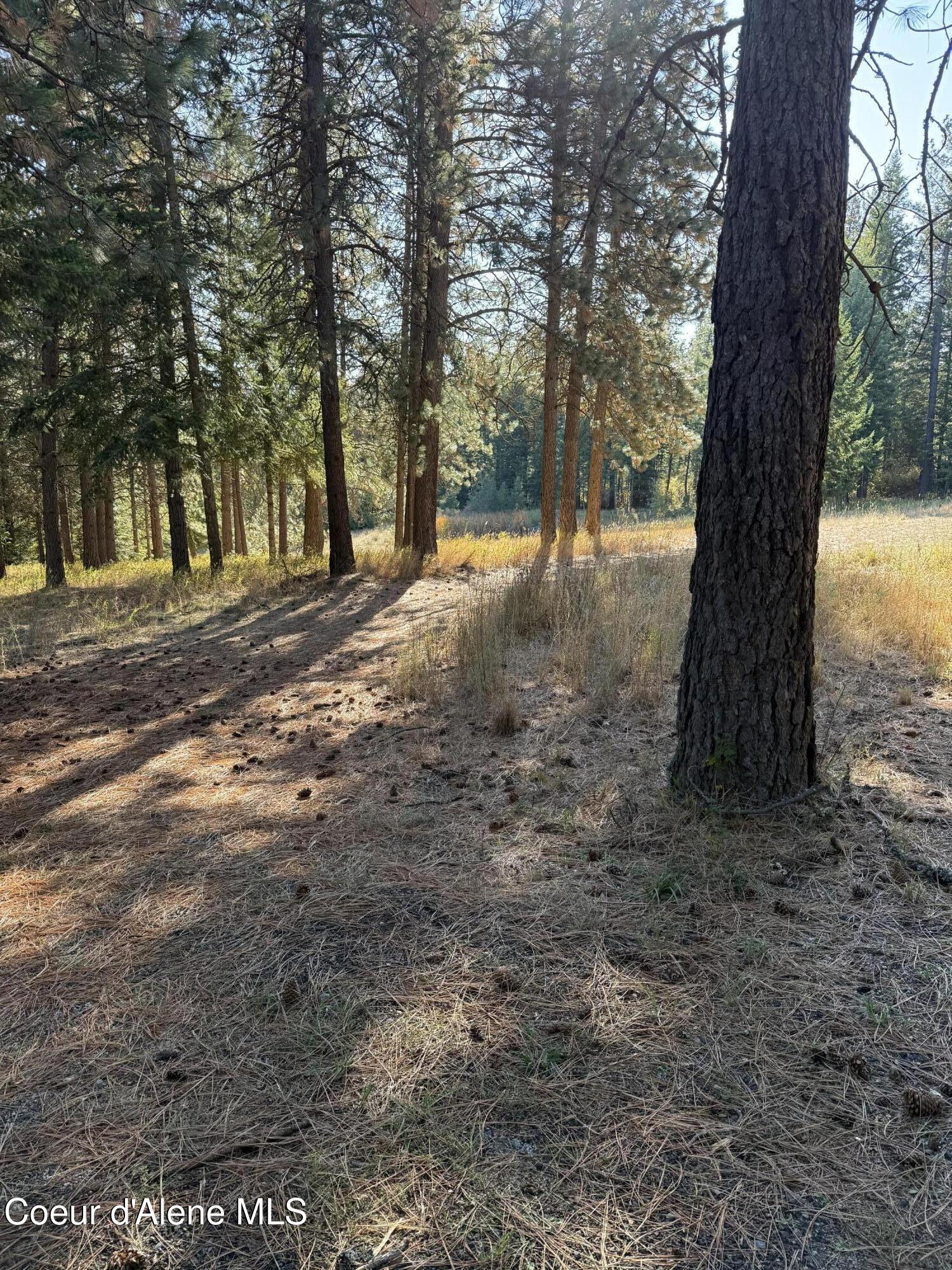 Nka West Barrett Drive Rathdrum, ID 83858 - Photo 8 of 19 IMG_4478