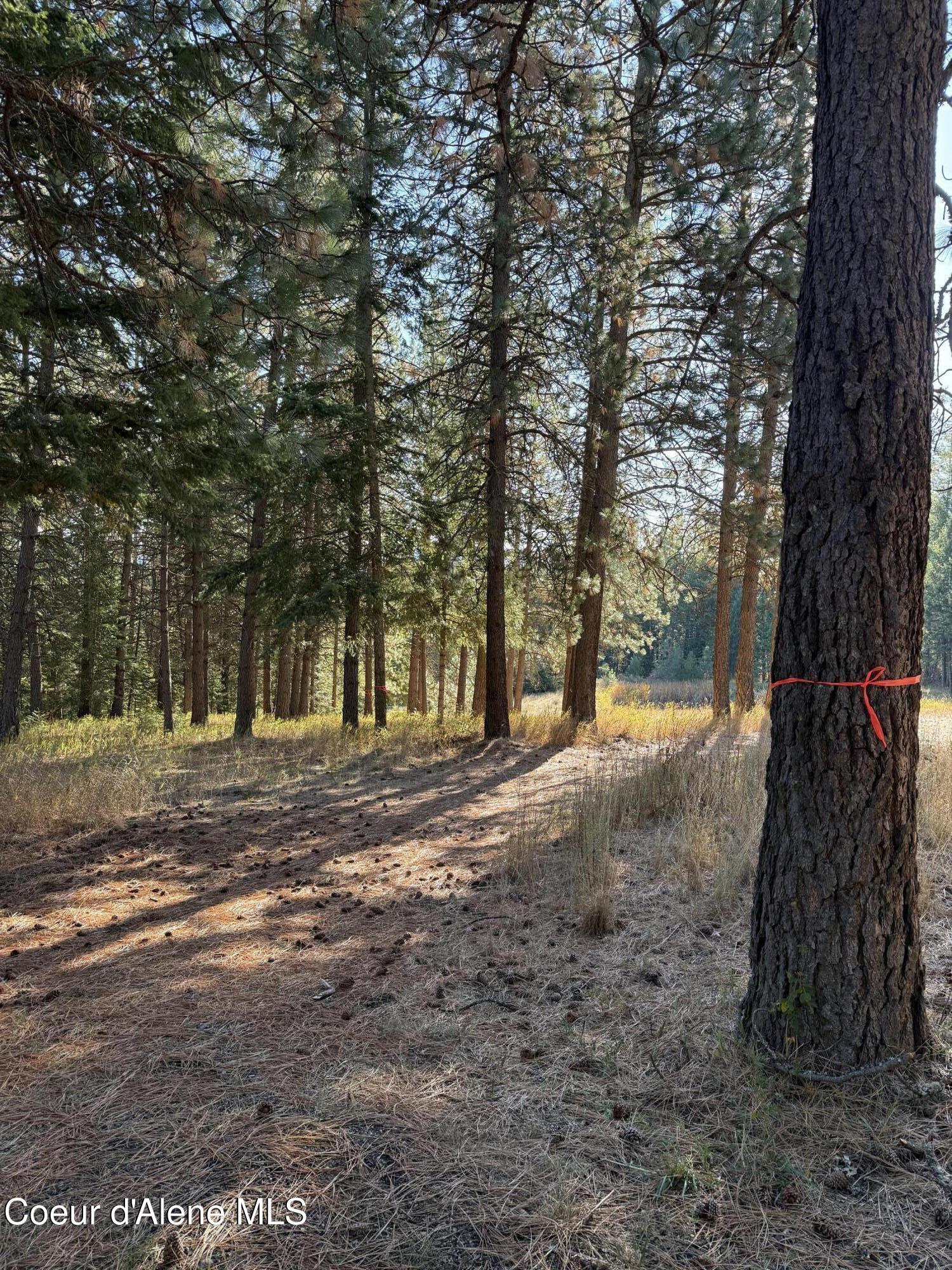 Nka West Barrett Drive Rathdrum, ID 83858 - Photo 9 of 19 IMG_4482