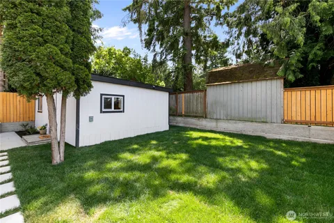 a view of a backyard with a tree