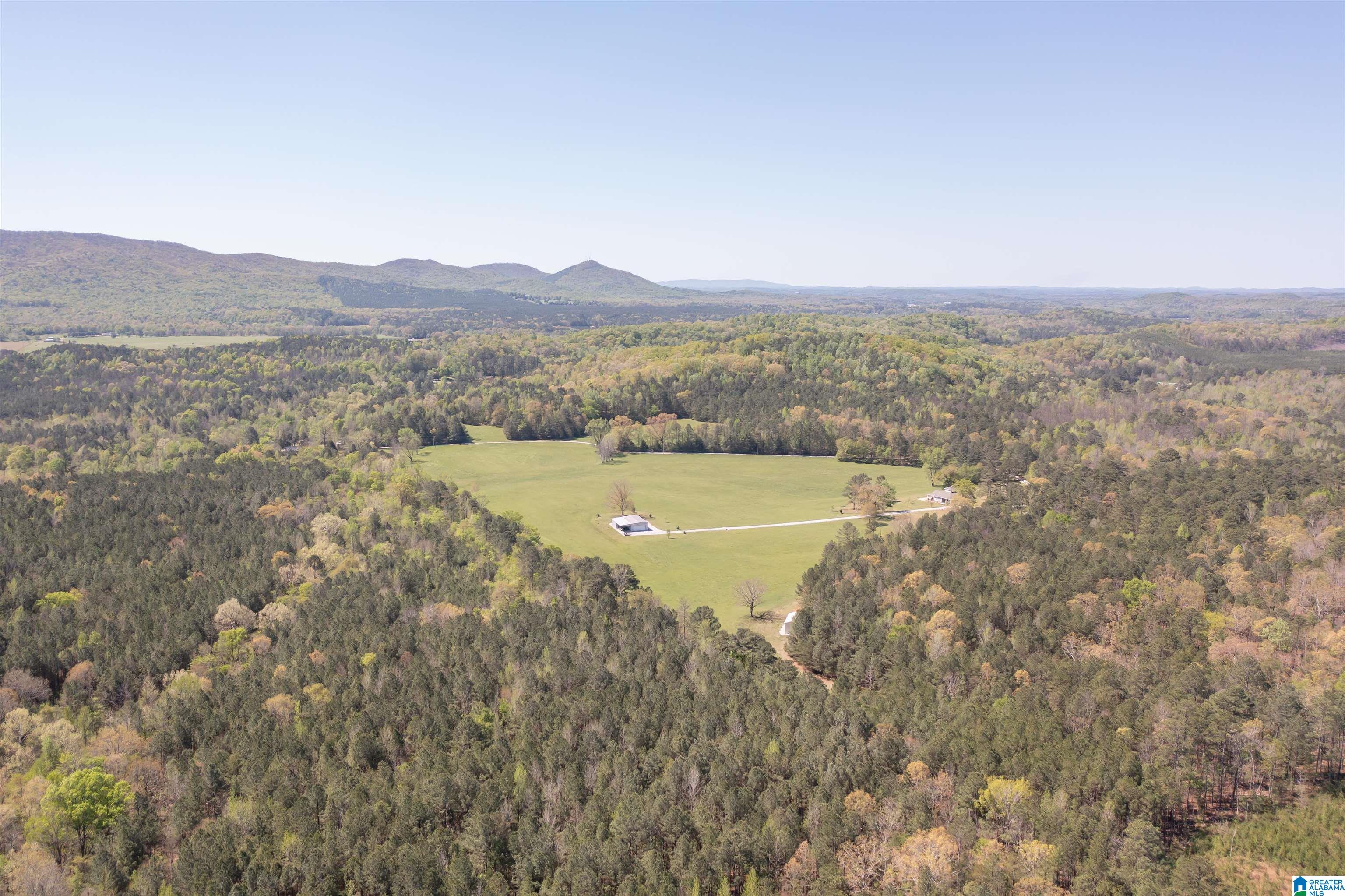 2741 Possum Trot Road Piedmont, AL 36272 - Photo 62 of 62