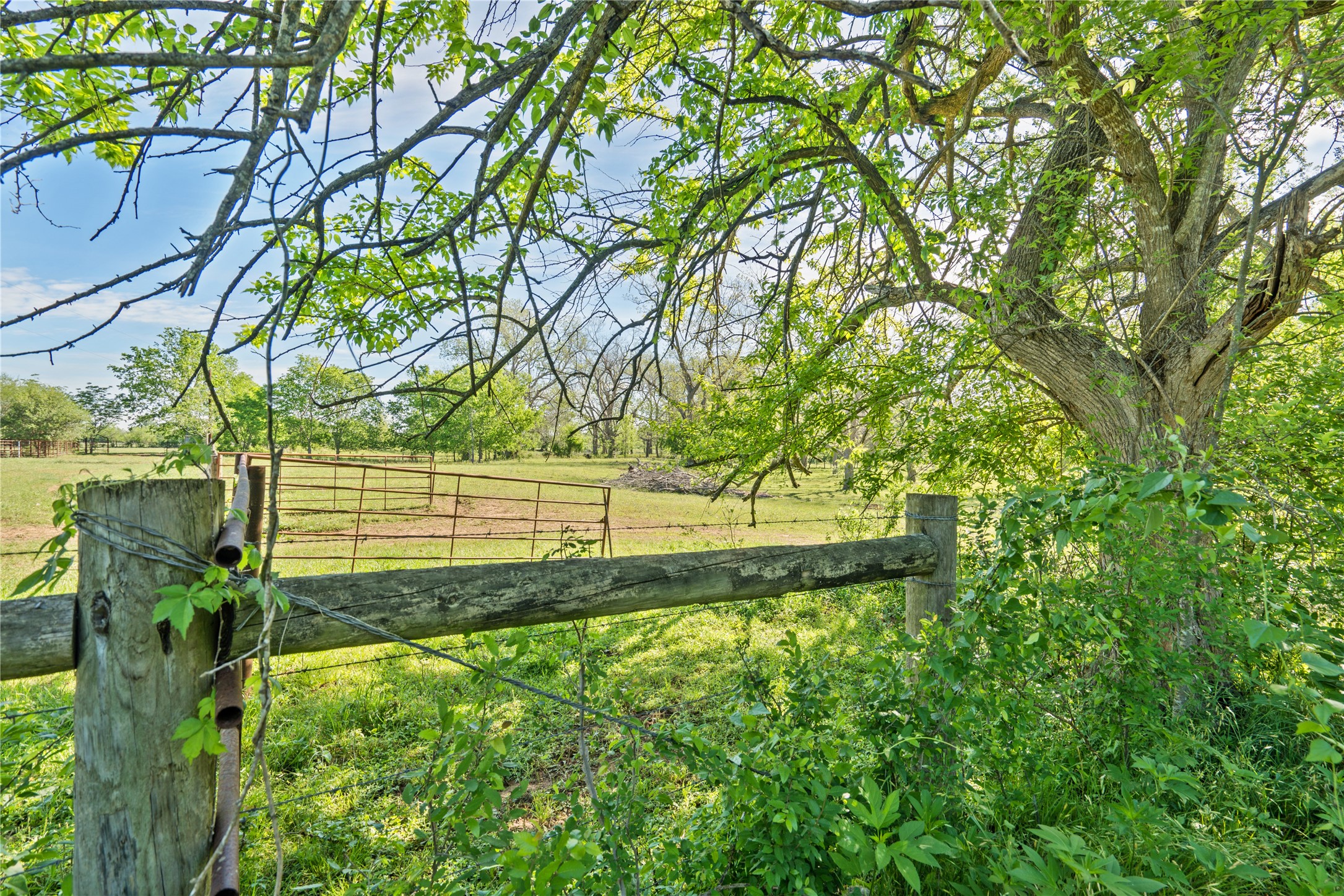 6504 Viereck Road Sealy, TX 77474 - Photo 2 of 10