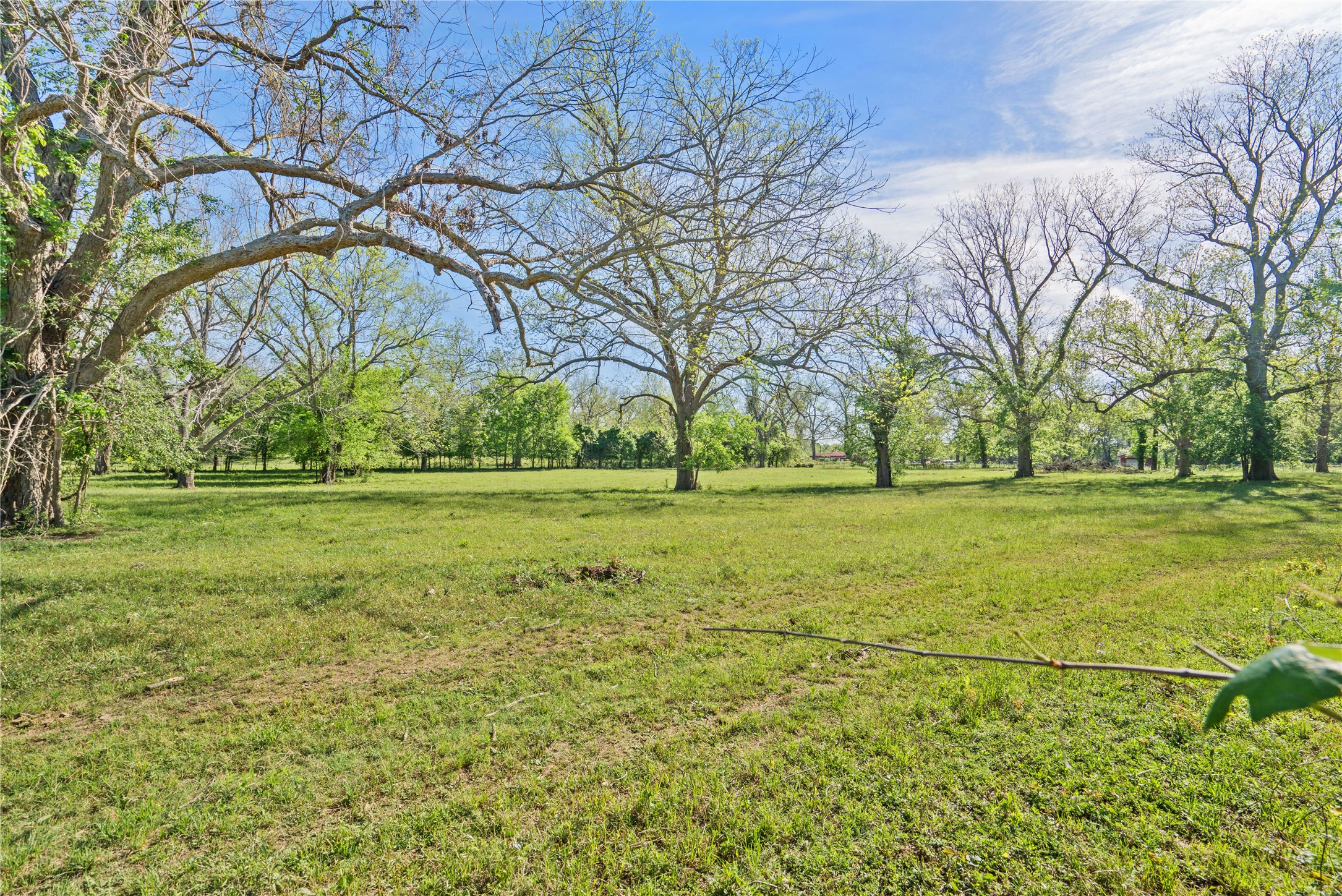 6504 Viereck Road Sealy, TX 77474 - Photo 4 of 10