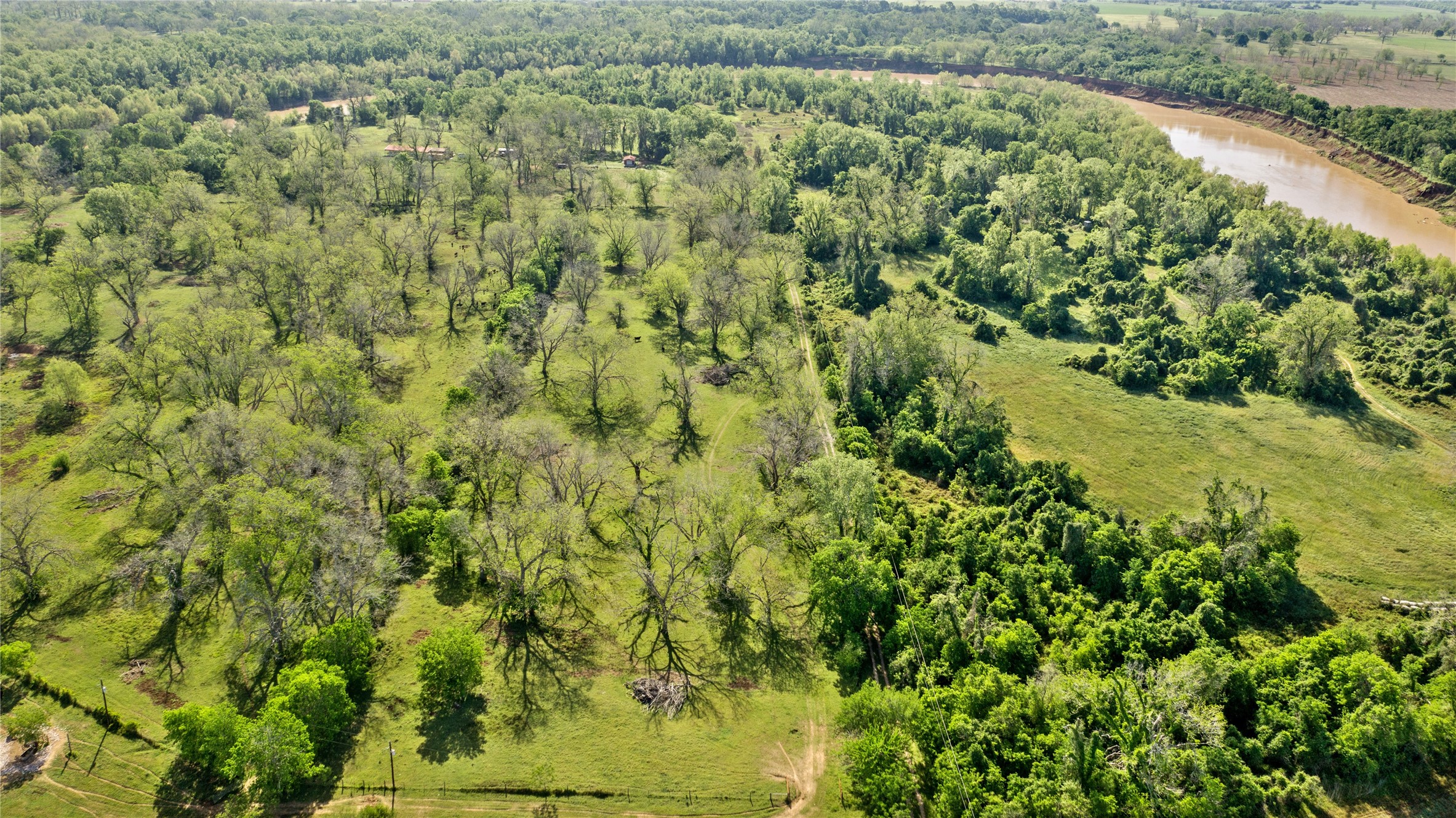 6504 Viereck Road Sealy, TX 77474 - Photo 6 of 10