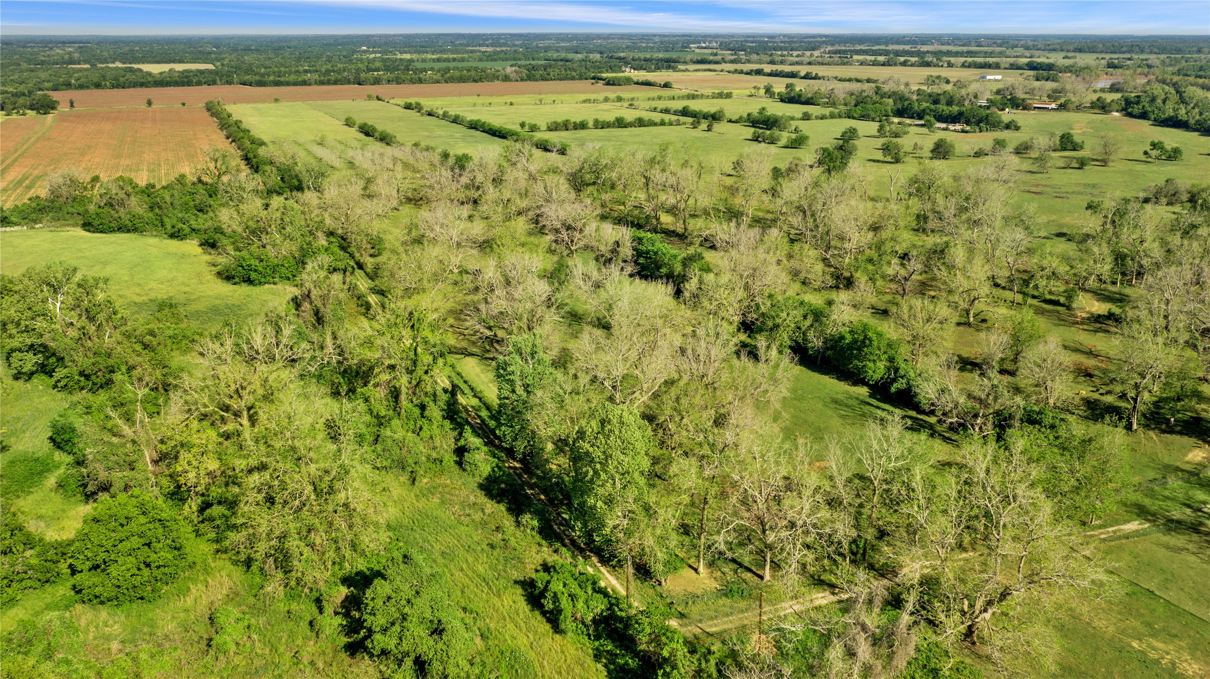 6504 Viereck Road Sealy, TX 77474 - Photo 7 of 10