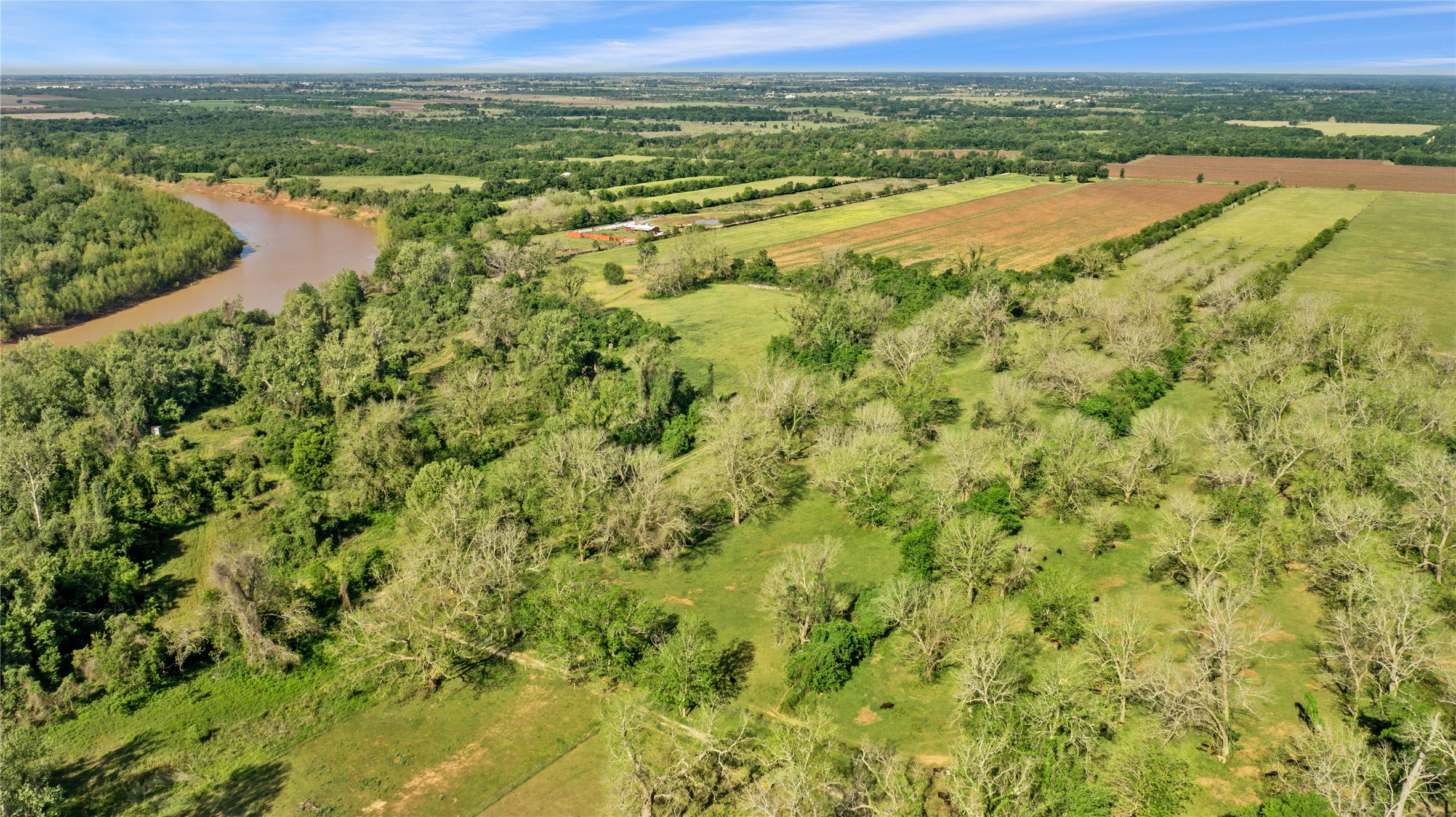 6504 Viereck Road Sealy, TX 77474 - Photo 8 of 10