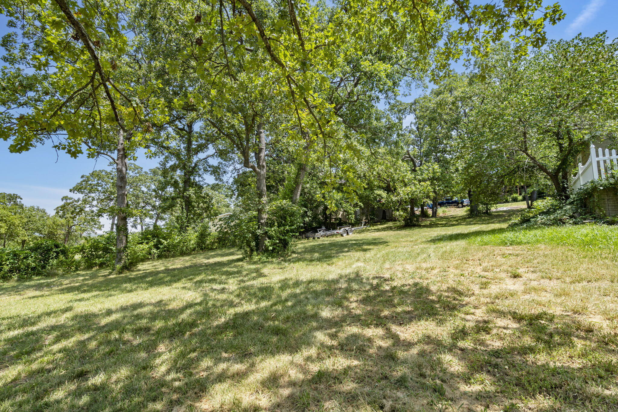 455 Edgewater Circle Ridgedale, MO 65739 - Photo 4 of 13 Mature trees