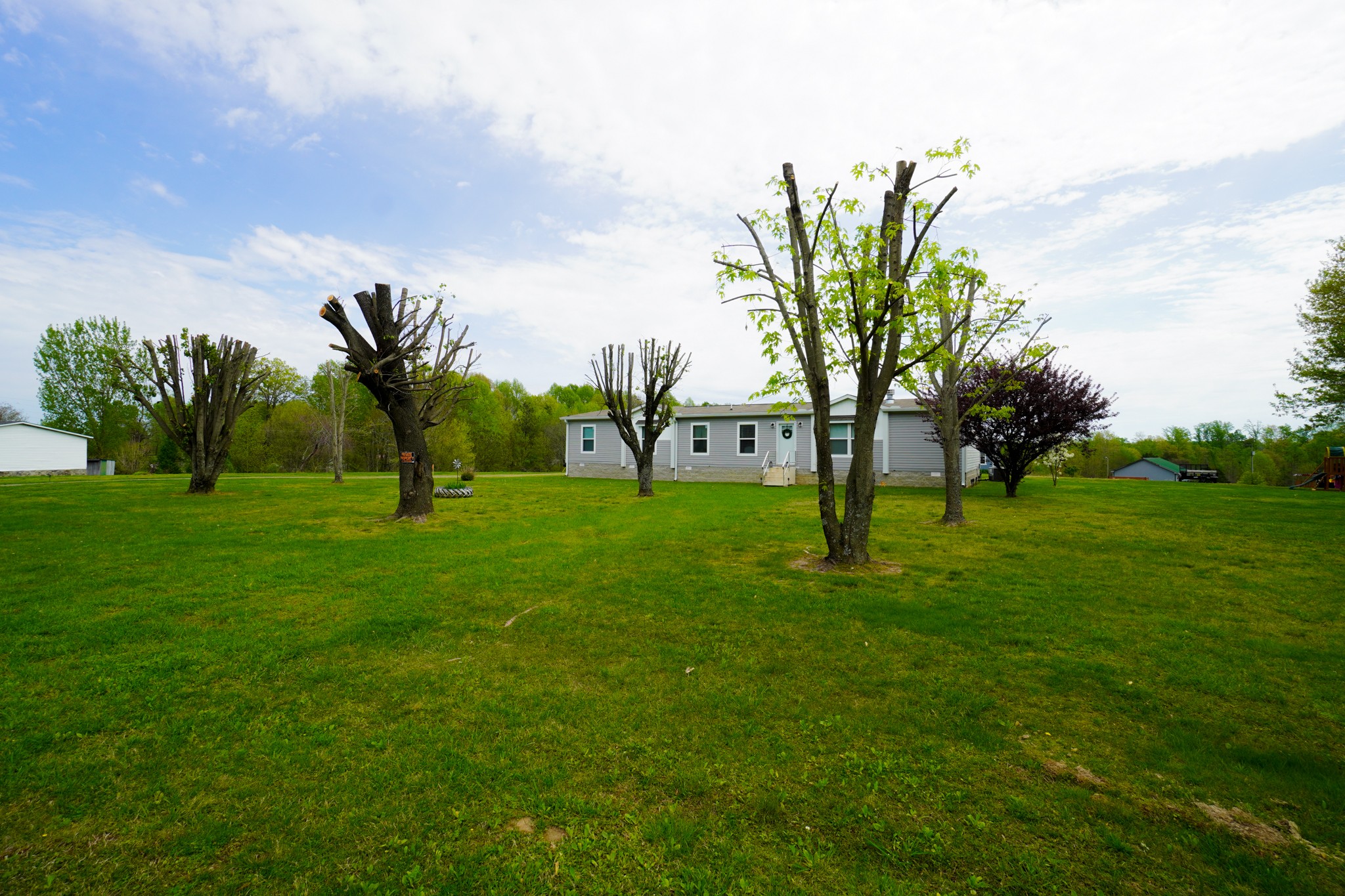 396 Gamaliel Road Red Boiling Springs, TN 37150 - Photo 44 of 45 a view of a park with a tree