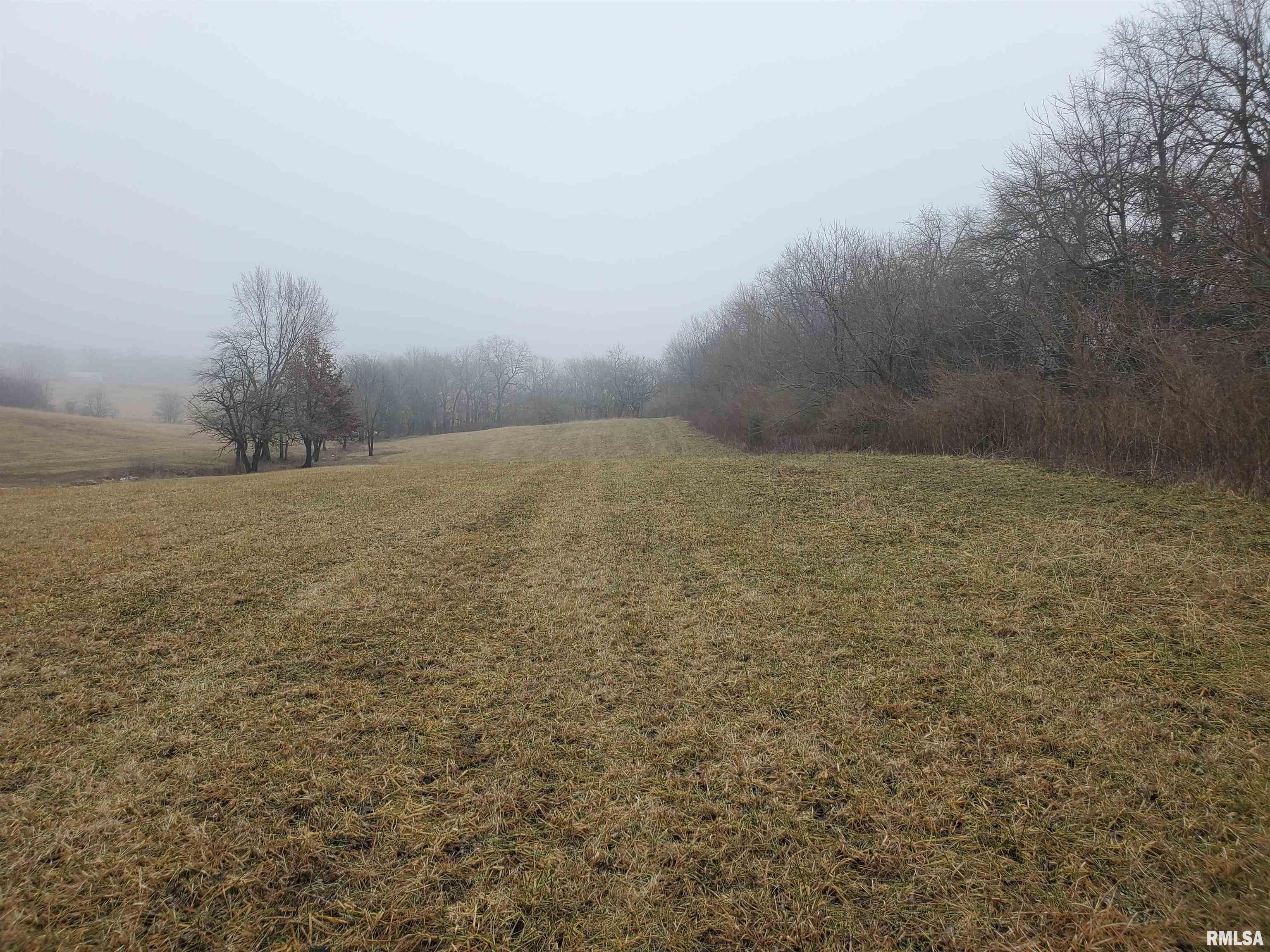 - South John Wayne Road Dawson, IL 62520 - Photo 6 of 11 Gallery Image 6