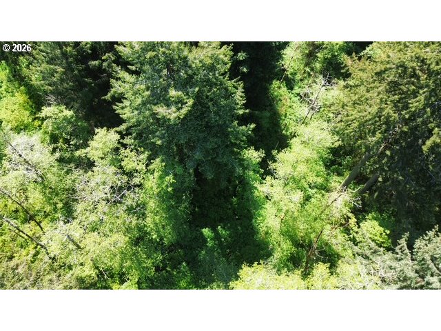 400 Erhart Road Florence, OR 97439 - Photo 8 of 16 a open area with a yard and trees