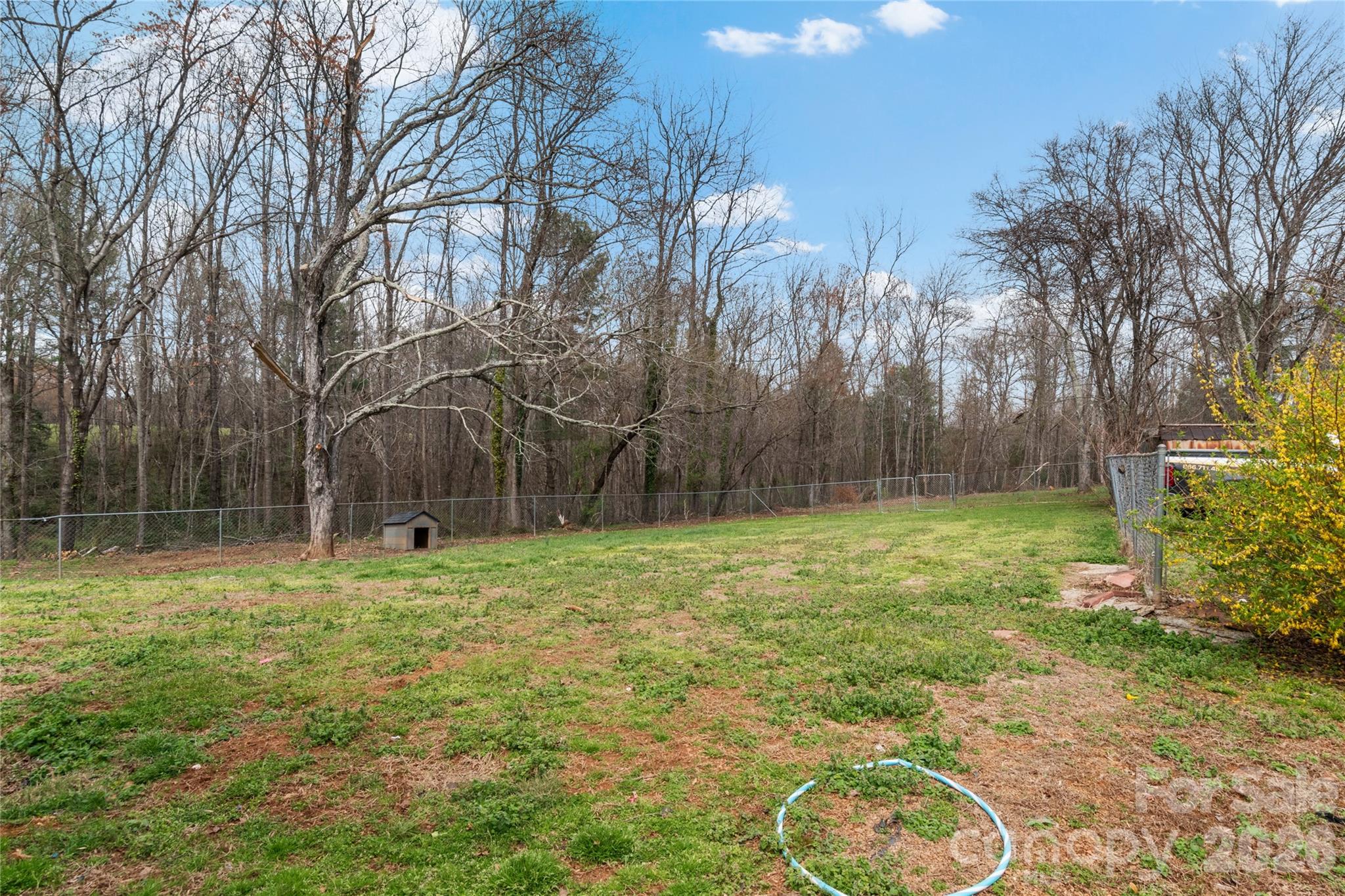 379 Pat Nixon Road State Road, NC 28676 - Photo 35 of 41