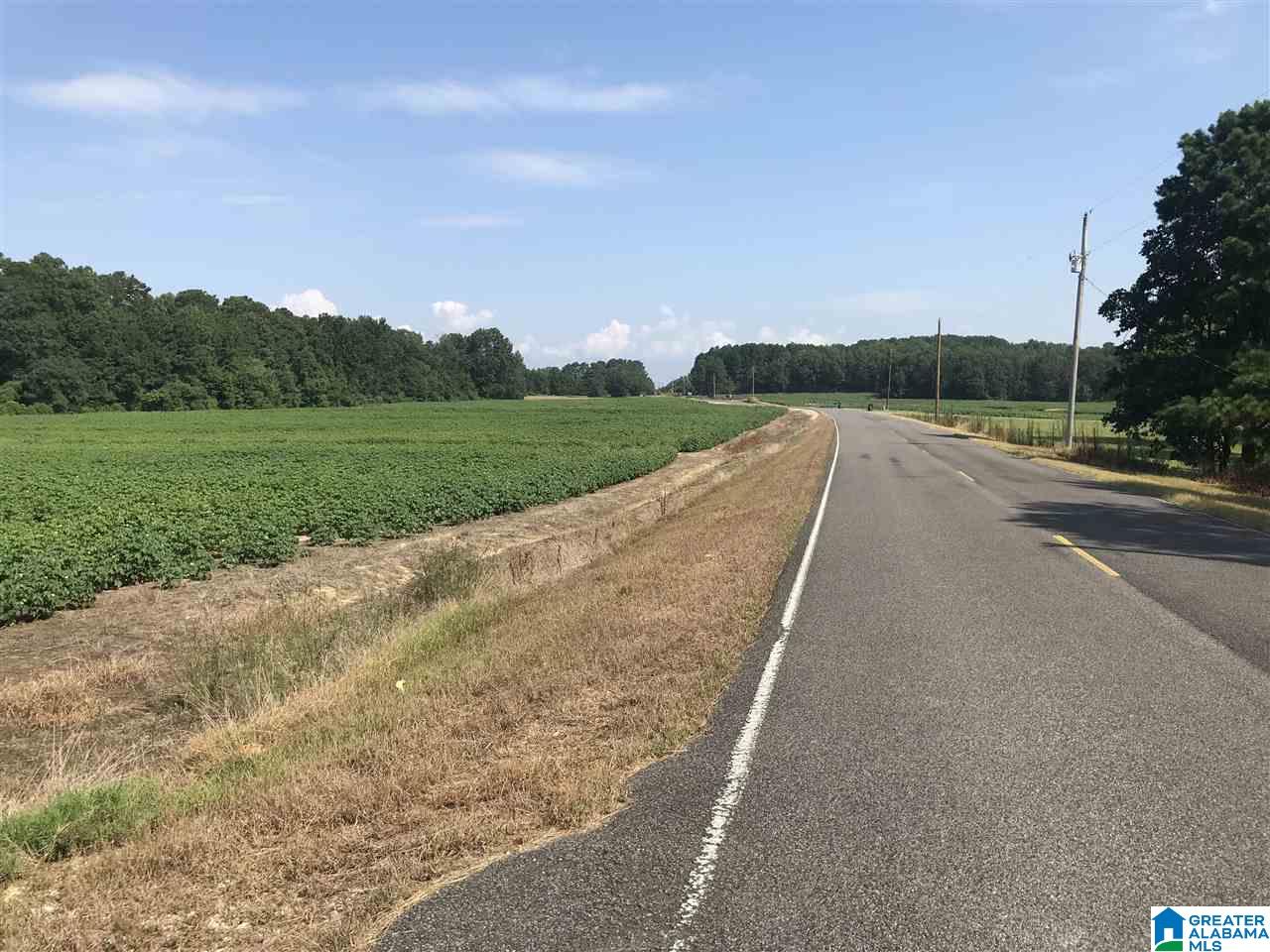 31 County Road, Unit METES Centre, AL 35960 - Photo 10 of 13
