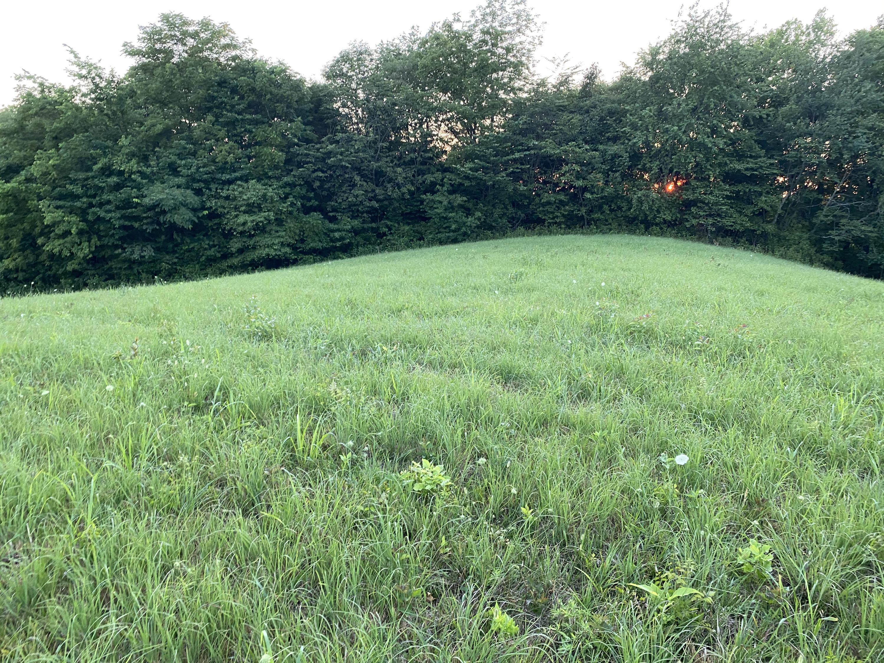 199 Joe Bowles Road Summer Shade, KY 42166 - Photo 1 of 6 Photo Jul 13, 7 56 45 PM