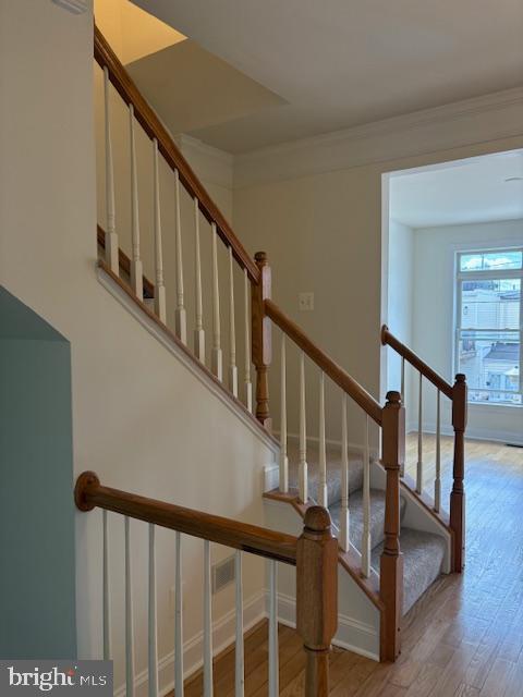 1408 Steuart Street Baltimore, MD 21230 - Photo 13 of 37