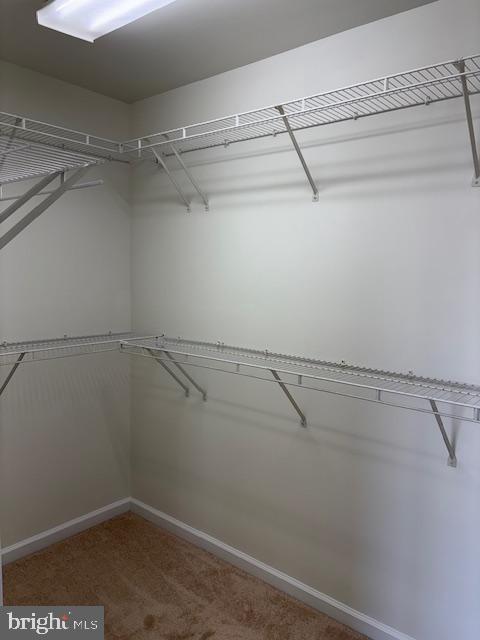 1408 Steuart Street Baltimore, MD 21230 - Photo 24 of 37