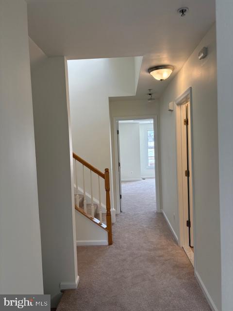 1408 Steuart Street Baltimore, MD 21230 - Photo 26 of 37