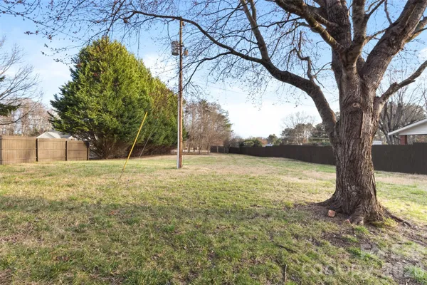 a view of a yard with a tree