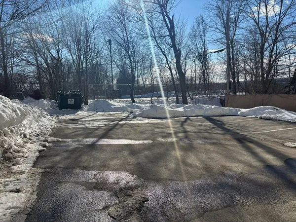 a view of a yard with a large tree