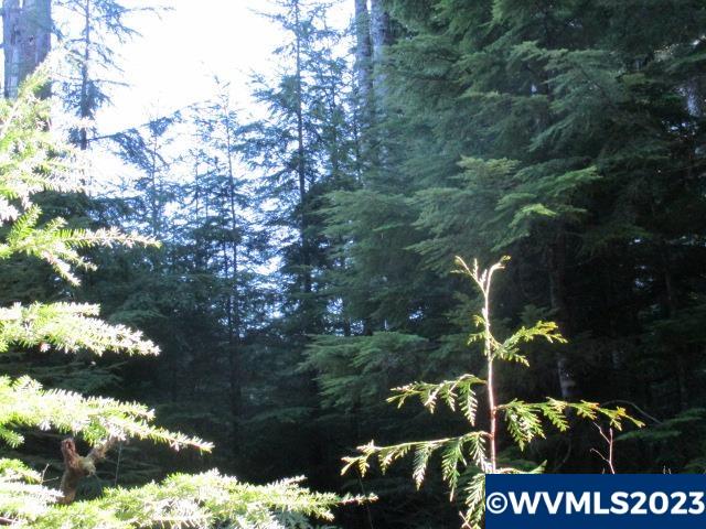0 Southeast Harvey Road Sandy, OR 97055 - Photo 7 of 11