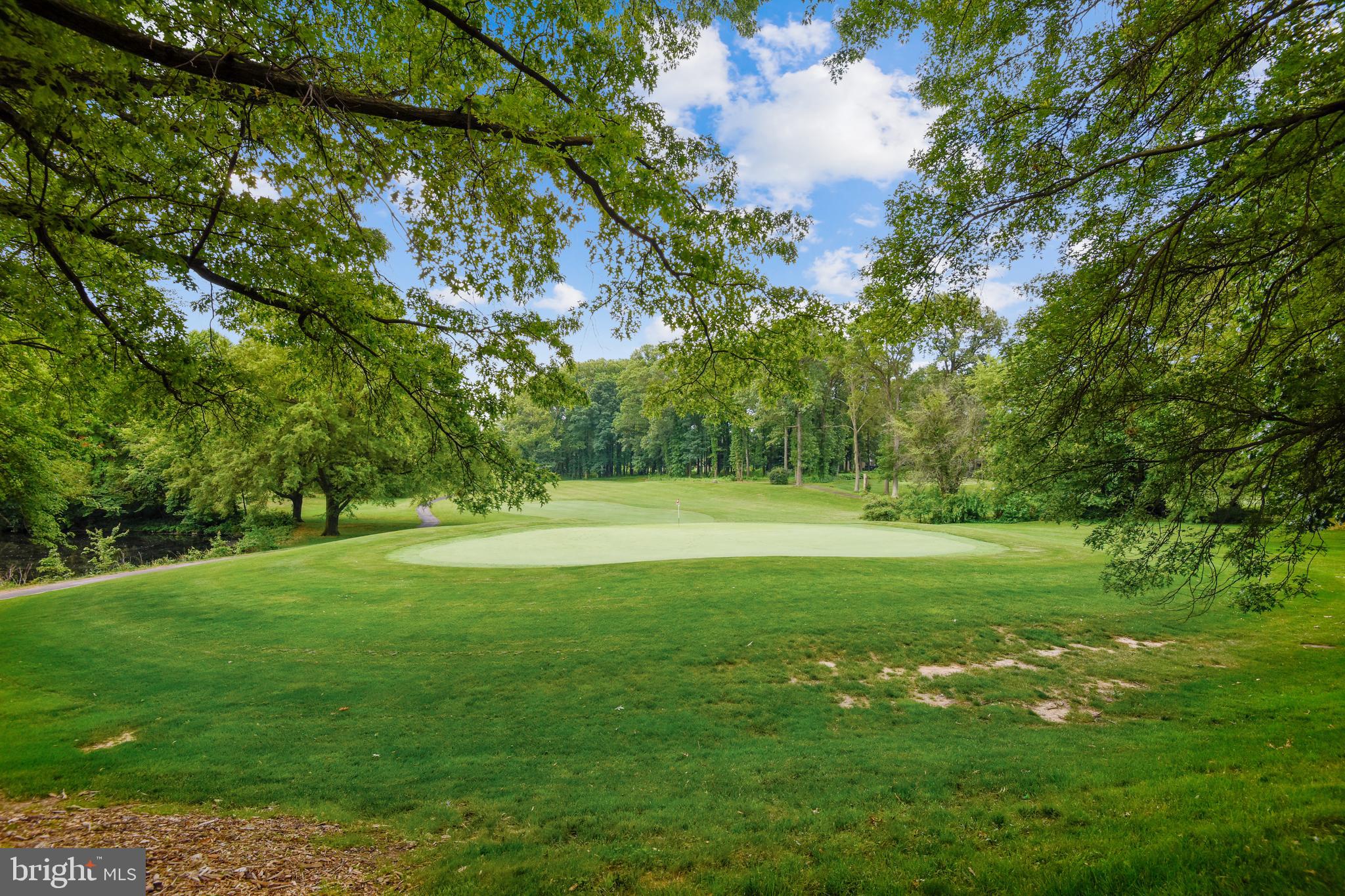 11797 Indian Ridge Road Reston, VA 20191 - Photo 33 of 33 a view of field with trees in the background