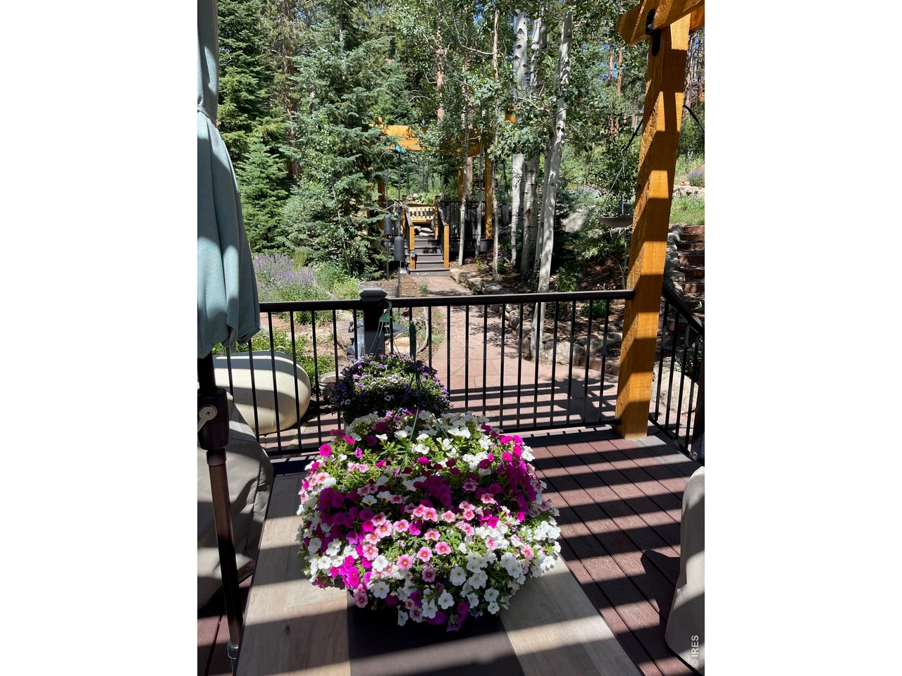 124 Ski Road Allenspark, CO 80510 - Photo 7 of 29 a view of a porch with a flower garden
