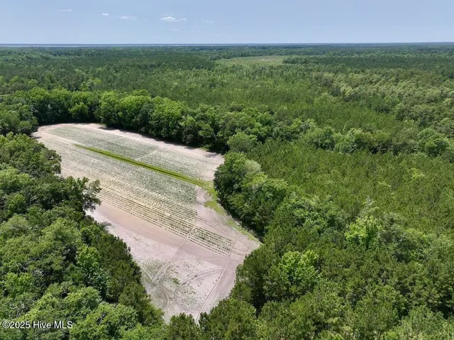 $1,379,000 | 0 Nc-306, Grantsboro, NC 28529