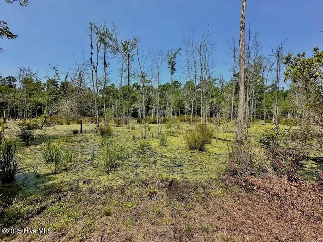 $1,379,000 | 0 Nc-306, Grantsboro, NC 28529