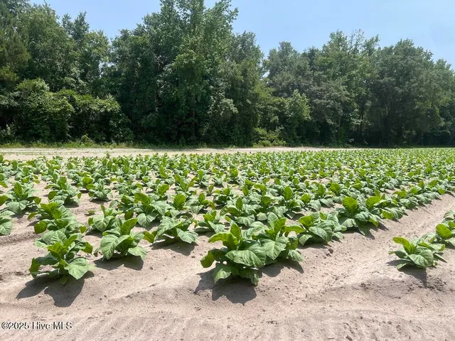 $1,379,000 | 0 Nc-306, Grantsboro, NC 28529