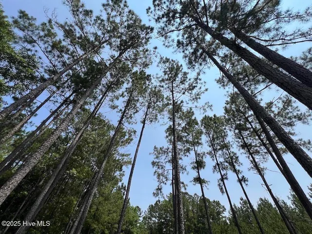 $1,379,000 | 0 Nc-306, Grantsboro, NC 28529