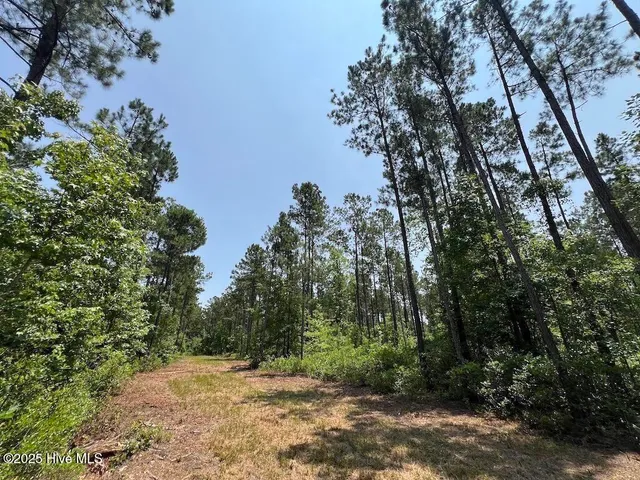 $1,379,000 | 0 Nc-306, Grantsboro, NC 28529