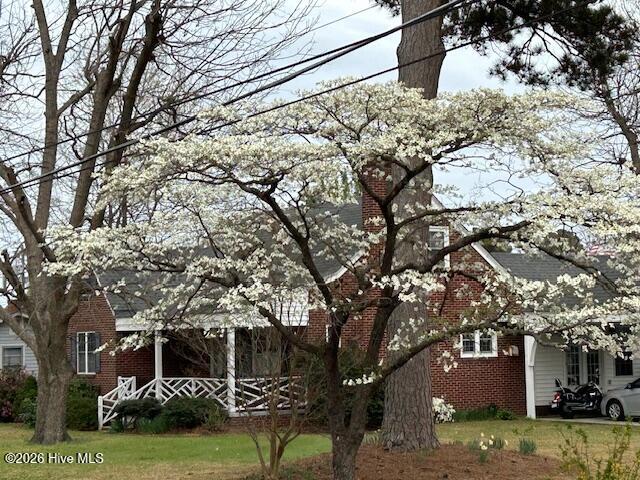 502 North Chestnut Street Mount Olive, NC 28365 - Photo 38 of 42 IMG_1516 (1)