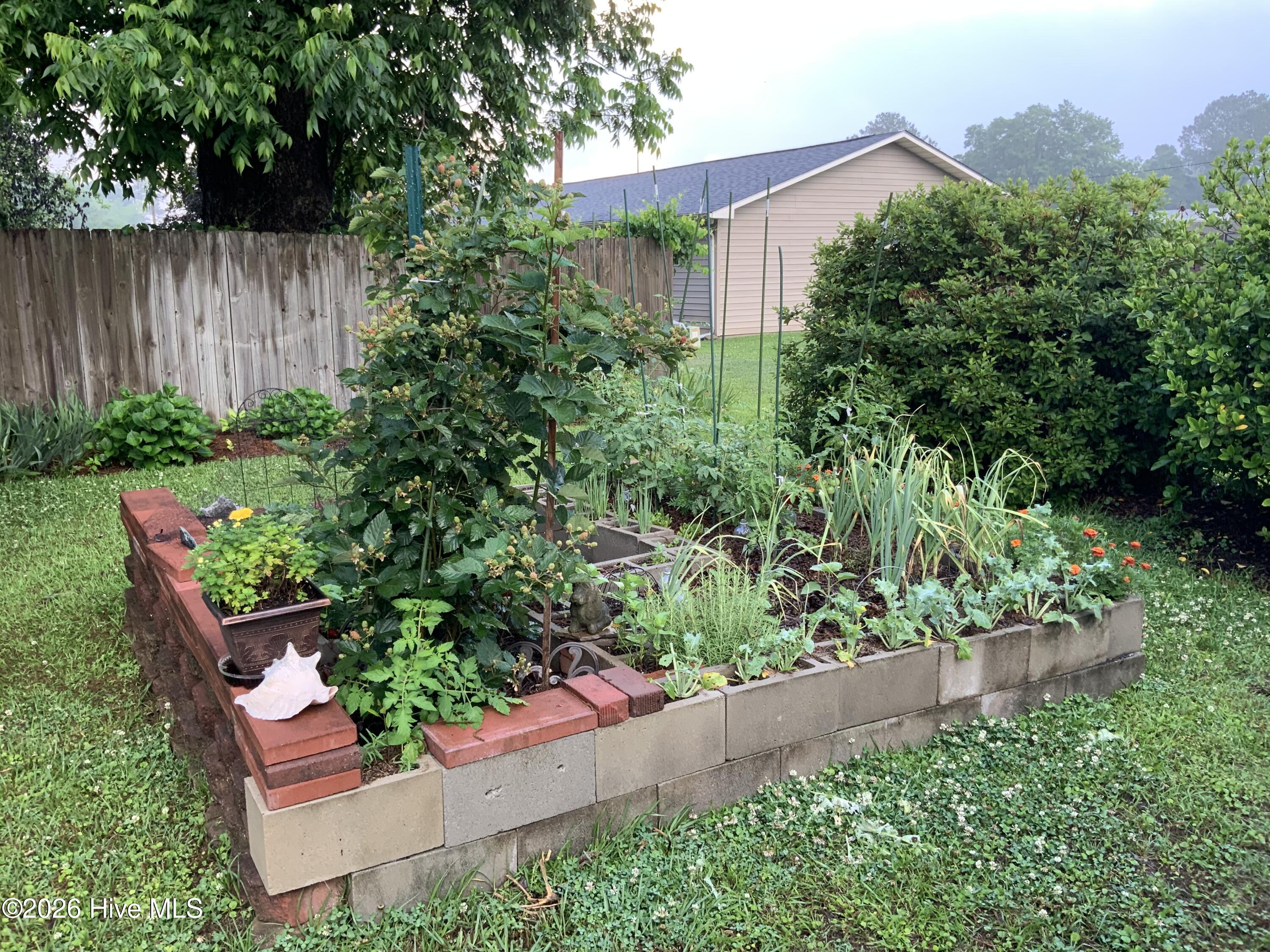 502 North Chestnut Street Mount Olive, NC 28365 - Photo 40 of 42 IMG_5305