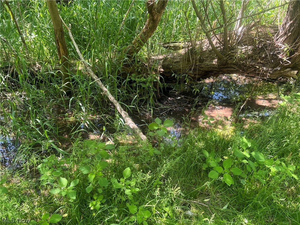 1811 Jeffries Road Huron, OH 44839 - Photo 10 of 50 creek