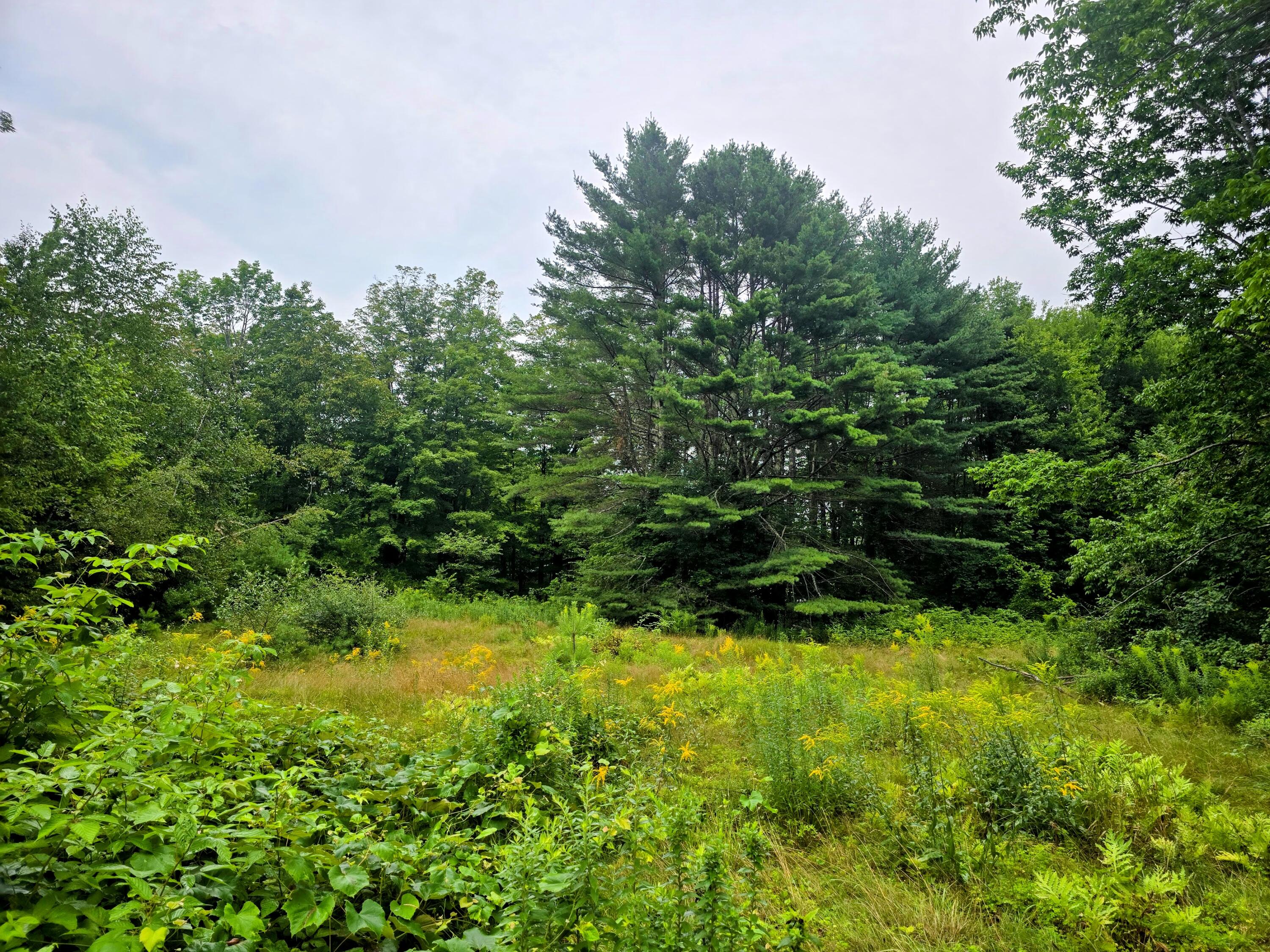 705 Plains Road Mount Vernon, ME 04352 - Photo 10 of 29 20250731_115448-EDIT