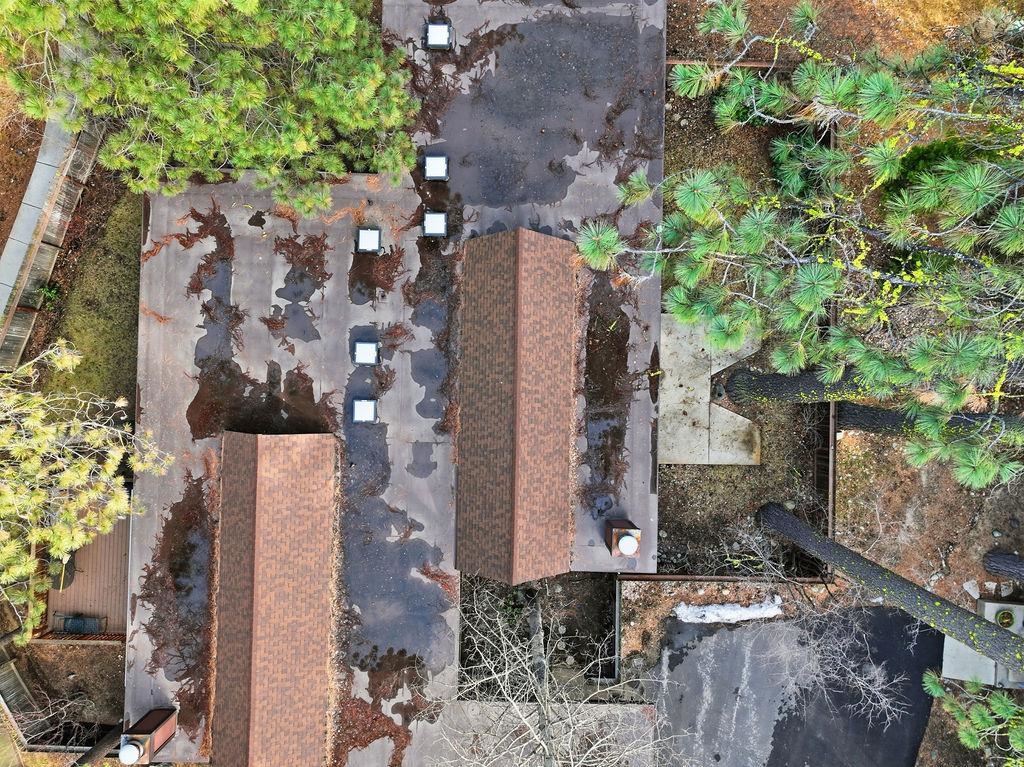 39 Graeagle Meadows Road, Unit 39 Graeagle, CA 96103 - Photo 47 of 48 an aerial view of a house with a yard and large trees
