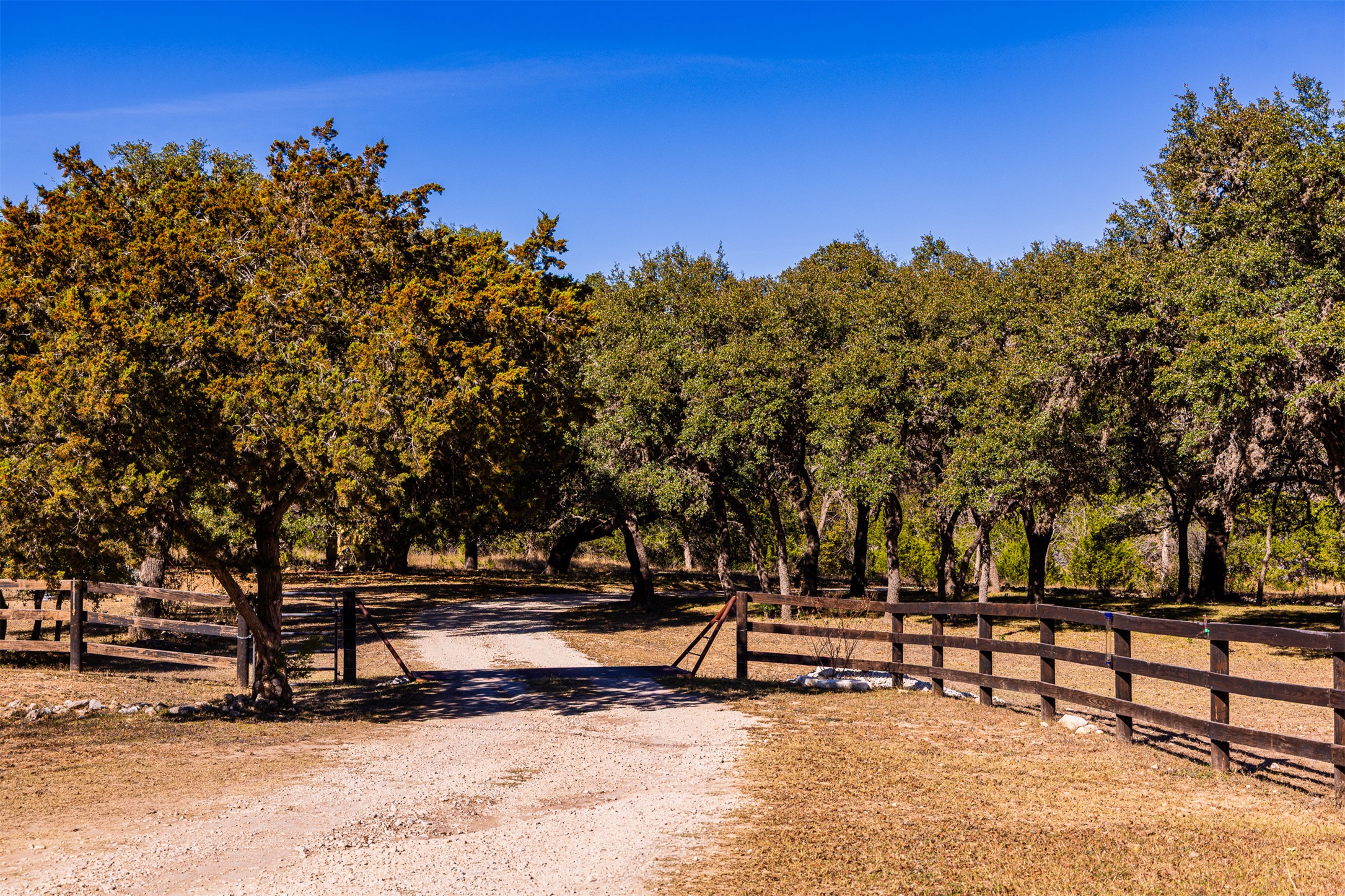641 Patterson Creek Road Leakey, TX 78873 - Photo 3 of 31 View of road
