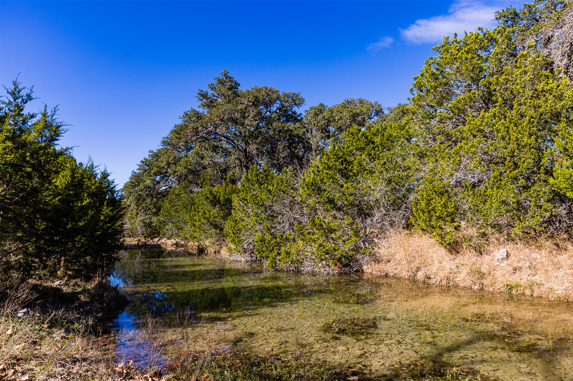 641 Patterson Creek Road Leakey, TX 78873 - Photo 4 of 31 View of local wilderness featuring a nearby body of water
