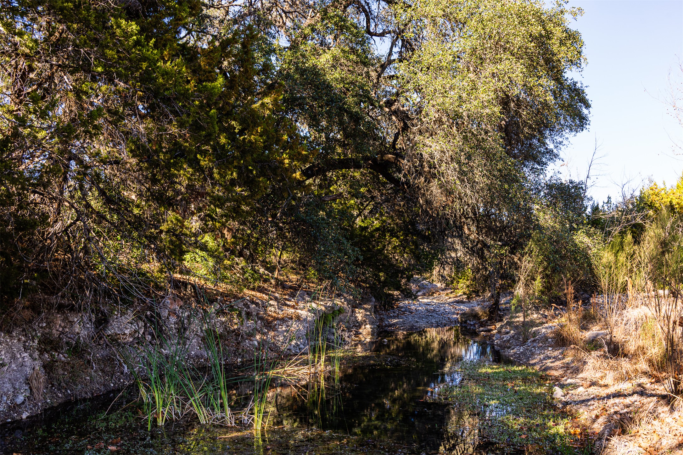 641 Patterson Creek Road Leakey, TX 78873 - Photo 6 of 31 View of nature