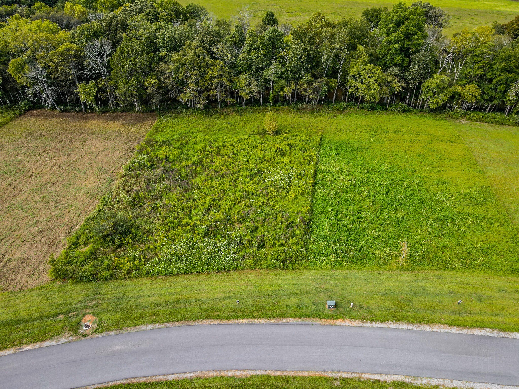 36 River Ridge Drive Dunlap, TN 37327 - Photo 16 of 26