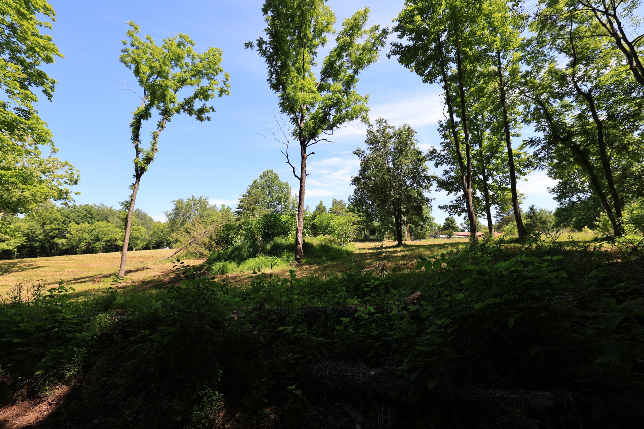 5 Poplar Ridge Lane Chapmansboro, TN 37035 - Photo 15 of 34 a view of outdoor space and yard