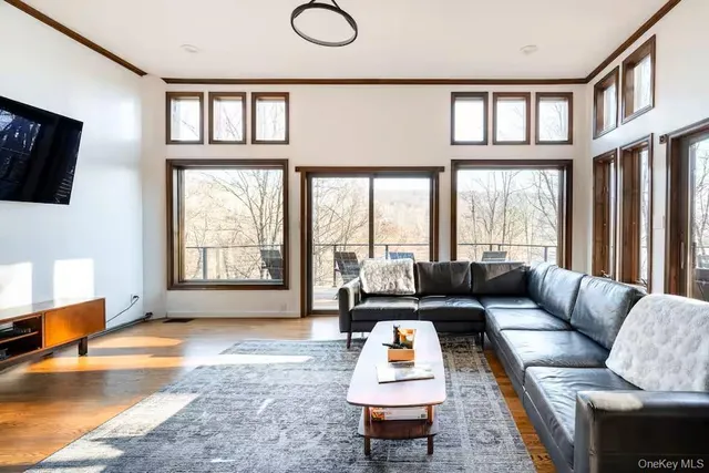 a living room with furniture or couch and a rug