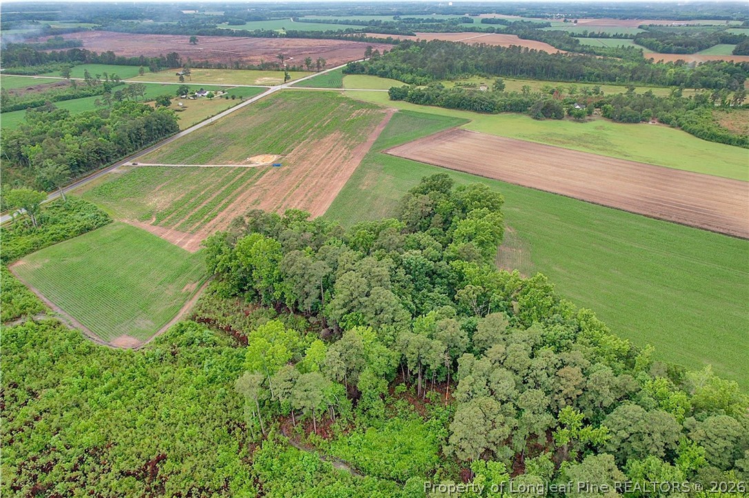 Lot 4 Buie Philadelphus Road Red Springs, NC 28377 - Photo 11 of 11