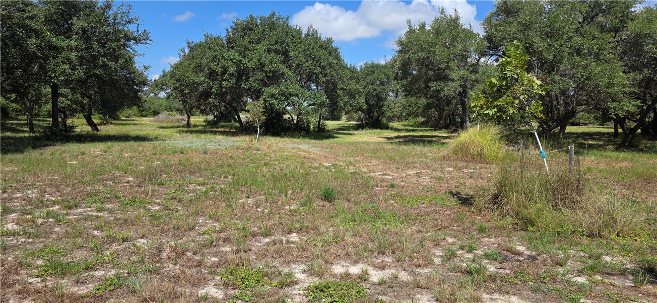 0 Pace Avenue Ingleside, TX 78362 - Photo 2 of 7 a view of outdoor space with deck and yard