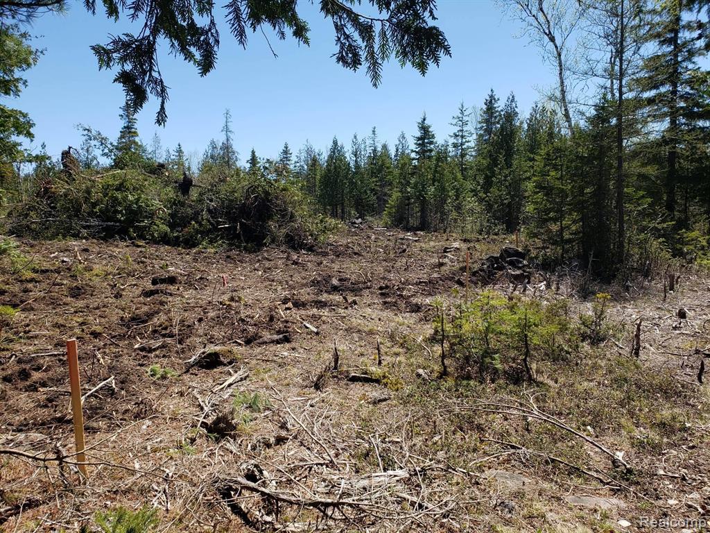 33882 South Dix Point Road Drummond Island, MI 49726 - Photo 14 of 19