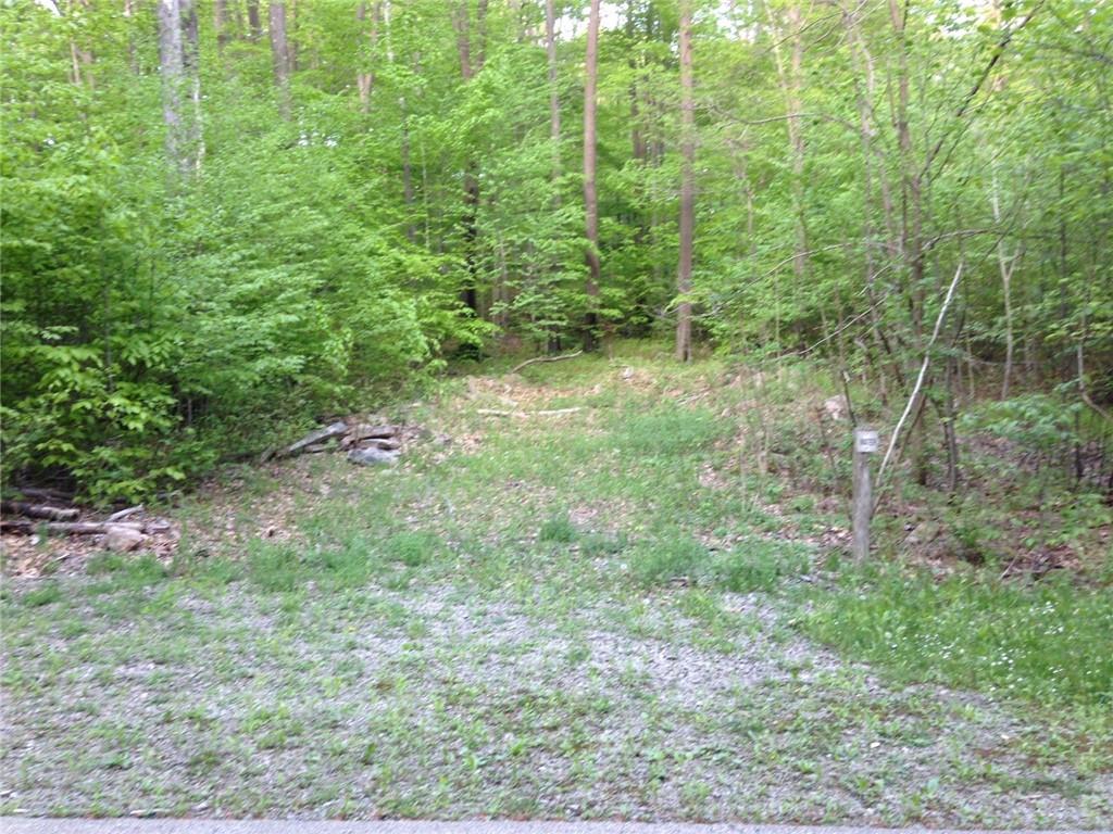 Lot 28 Grouse Point Champion, PA 15622 - Photo 2 of 4 a view of a lush green forest