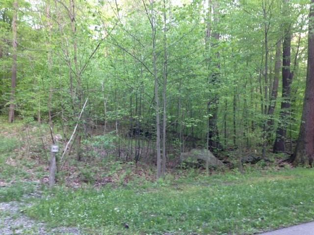 Lot 28 Grouse Point Champion, PA 15622 - Photo 3 of 4 a view of a forest that has large trees