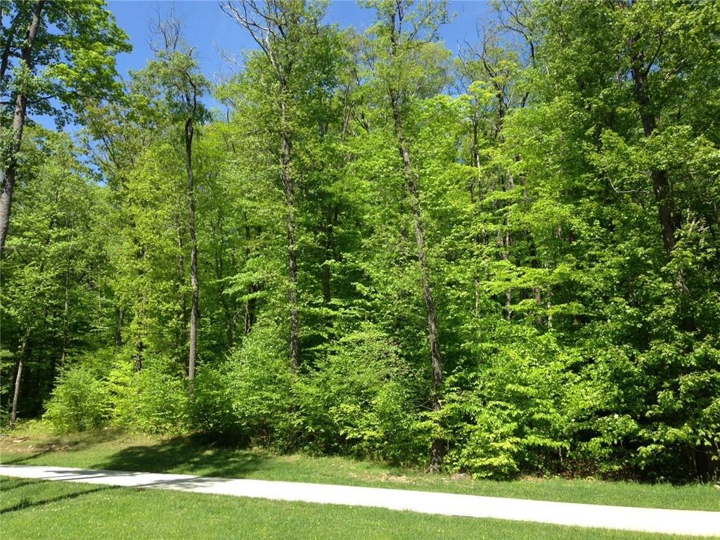 Lot 28 Grouse Point Champion, PA 15622 - Photo 4 of 4 a view of a yard with plants