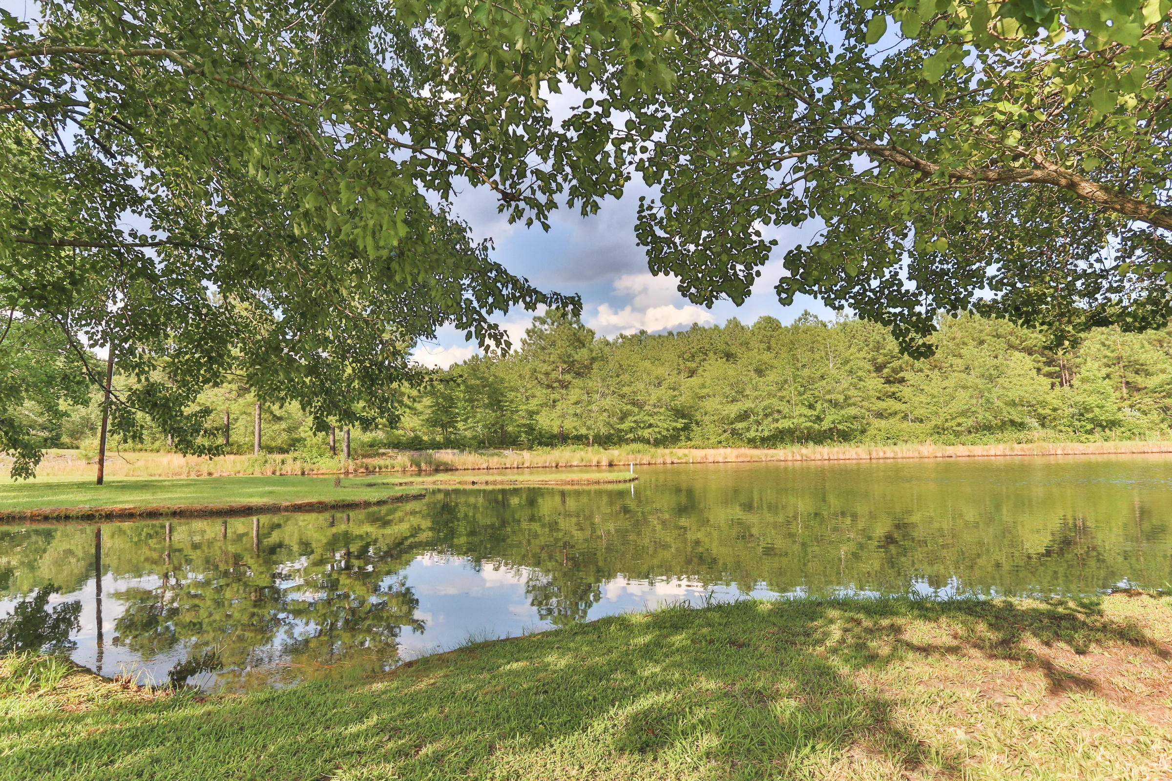 337 Ellerbe Grove Church Road Rockingham, NC 28379 - Photo 54 of 60 2Z1A1228