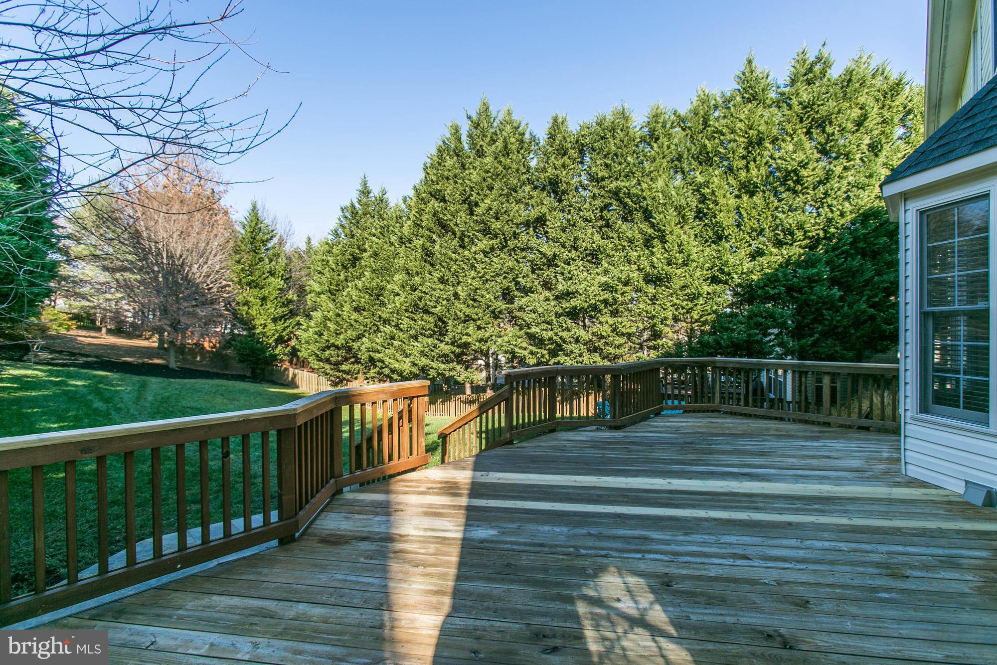 6158 Cobbs Road Alexandria, VA 22310 - Photo 29 of 30 Over 1/3 acre lot