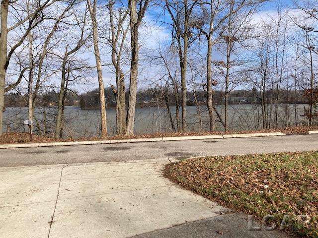 921 Ballenberger Road Adrian, MI 49221 - Photo 5 of 17